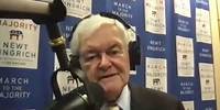 Speaker Newt Gingrich's Take on Biden Democrats