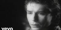 The Psychedelic Furs - The Ghost in You (Official Video)