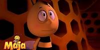 Alle Honigwaben sind leer - Die Biene Maja🐝🍯🐝