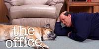 Is Kevin's Dog Dead? - The Office US