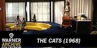 Preview Clip | The Cats | Warner Archive