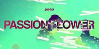 PNAU - Passion Flower (Official Visualiser)