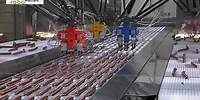 ABB Robotics--Picking and packing salami snacks