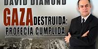 DAVID DIAMOND - GAZA DESTRUIDA ES PROFECÍA CUMPLIDA 🚨 IMÁGENES ÚNICAS 🚨 LUEGO: SIRIA y LIBANO 🚨