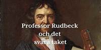 Professor Rudbeck och det svåra taket