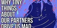 Why Tiny Things About Our Partners Drive Us Mad
