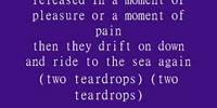 Steve Wariner- Two Tear Drops
