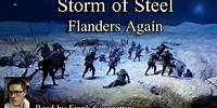 Storm of Steel - Flanders Again (1920), Audiobook
