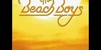 Fun Fun Fun- The Beach Boys