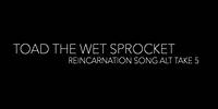 Toad the Wet Sprocket - Reincarnation Song Alternate Take 5 (1993)