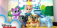 Picture Pups 📷 | Puppy Playcare | Puppy Dog Pals | Disney Junior