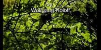Ronny - Moorlichter Musik & Film von Wolfgang Roloff - Ronny