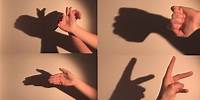 How To Make Shadow Puppets With Your Hand