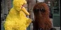 Sesame Street (#3847): Big Bird and Snuffy Pretend to Be a Train
