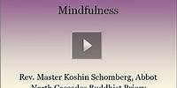 Meditation Instruction Soto Zen-6: Mindfulness