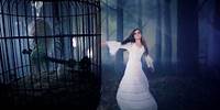 Stevie Nicks - Secret Love (Official Music Video)