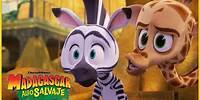 ¡Marty debe seguir las reglas! | DreamWorks Madagascar en Español Latino