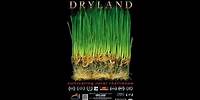 Mark Orton - Catharsis - Dryland