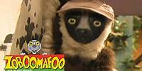 Zoboomafoo with the Kratt Brothers! SPOTS & STRIPES | Full Episodes Compilation