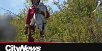 Calgary Fire responds to Nose Hill Park fire