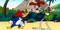 Castaway Island Challenge | 1 Hour of Woody Woodpecker