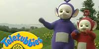 Teletubbies | Lets Go See Some Owl Babies | Shows for Kids