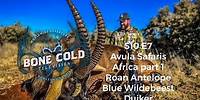 Season 10 Episode 7: Avula Safaris Africa! Roan Antelope with the crossbow, Blue Wildebeest, Duiker