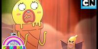 Es ist ein Tatort! | Gumball - Die Schuld | Cartoon Network