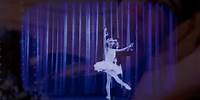 Alan Clark - Private Dancer (Official Video)