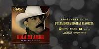 El Chapo de Sinaloa - Hola Mi Amor (Versión Banda) (Lyric Video)