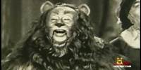 Wizard of Oz Cowardly Lion Costume