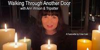 Ann Wilson & Tripsitter - Walking Through Another Door (2024) A Featurette by Criss Cain