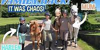 JOIN US ON A FAMILY HACK WITH THE PONIES... IT WAS CHAOS!!