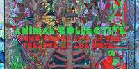 Animal Collective - Kids On Holiday - Live (Official Audio)