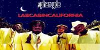 The Pharcyde - Y?