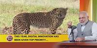 A inovação digital pode permitir a conservação proativa da vida selvagem: PM Modi