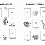 atividade classificação dos animais para colorir 2 ano3