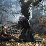 into the woods film4