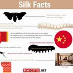 Thread of the Silkworm4