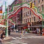 what is the little italy project nyc address3