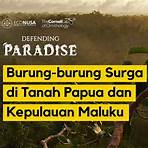 defending paradise2