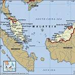 The Malay Archipelago4