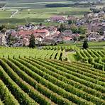 Should a Burgundy wine region be included in your to-do list?2