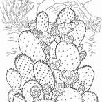 flor de cactus dibujo para imprimir4
