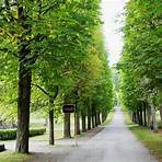 Why should you visit Drottningholm Palace?4