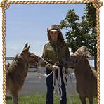 meredith hodges donkey training youtube1