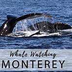 Monterey, Kalifornien, Vereinigte Staaten1