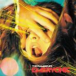 The Flaming Lips3