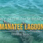 palm beach florida página oficial1