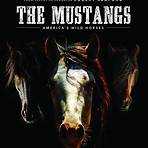 The Mustangs: America's Wild Horses4